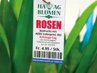 ADES AG