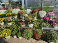 Herrmann Garten & Blumen AG