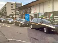 Taxis MAX