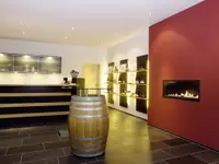 Baumgartner Weinbau AG