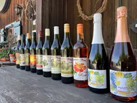 Weinbau Leuengrund - Schneider Weine
