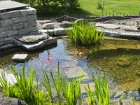 AQVA Irrigation & Outdoor Lighting Solutions