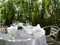 Hotel des Alpes