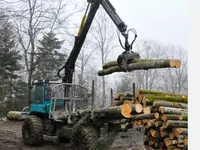 Entreprise forestière