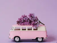 floristic gmbh