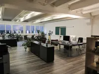 generation y GmbH