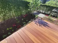 Bison Gartenbau AG