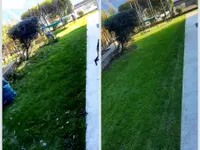 ARTE'S Impresa di pulizie