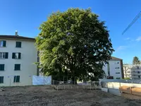 ELLEXA Sàrl