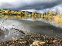 Gemeindeverwaltung Horgen