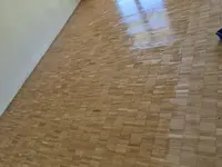 Reinigung und Renovation Antohi