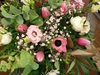 Wiedmer-Blumen AG