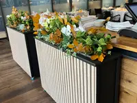 MOG Design Végétal Sàrl