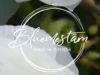 Bluemestärn GmbH