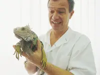 Centro Veterinario Daniele Varini
