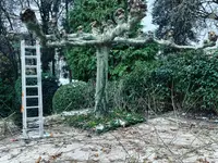 Royal Jardin sarl