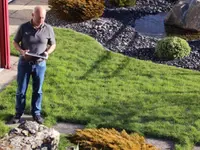 BRÜHWILER-GARTENBAU, BAUMPFLEGE