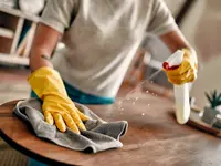 Ecofox Clean Home Services