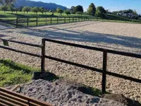 Erlebnisreiten - Klicken Sie, um das Bild 12 in einer Lightbox vergrössert darzustellen