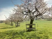 Neuhaus Stefan, Landschaftsgärtner/Paysagiste