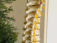 Bodyline med Kosmetik GmbH - 40 Jahre