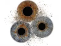 Bloesser Optik AG