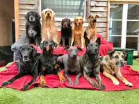 Nimalik Hundeschule & Hundepension