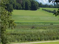 Glauser's Bio-Baumschule GmbH - Klicken Sie, um das Bild 4 in einer Lightbox vergrössert darzustellen