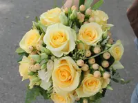 Blumen Pasadena