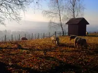 Kindhauser – Berghof - Klicken Sie, um das Bild 9 in einer Lightbox vergrössert darzustellen