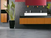 Schneider AG
