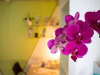 KosmetikStudio BeautyLine