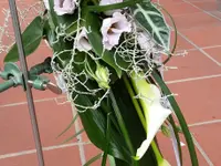 Fiori Mela Sagl