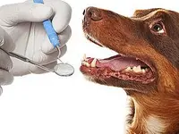 Tiergesundheitszentrum AM BLAUEN
