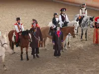 Centre Hippique de la Chaumaz Sàrl