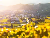 Gemeinde Salgesch - Klicken Sie, um das Bild 3 in einer Lightbox vergrössert darzustellen