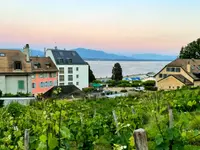 MNM Immobilier Sàrl
