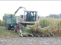 Freudiger Lohnunternehmen - Klicken Sie, um das Bild 4 in einer Lightbox vergrössert darzustellen