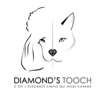 DIAMOND'S TOOCH-Logo