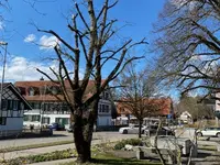 Liegenschaftenservice Hans Müller GmbH