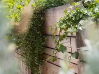 Mint Gardens