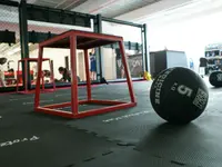 Ultimate Fight