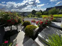 Schneider Gartengestaltung AG