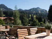 Hotel des Alpes