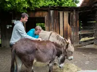 GIUVAULTA, Zentrum für Sonderpädagogik - cliccare per ingrandire l’immagine 26 in una lightbox