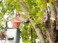 Pünter Garten GmbH - Klicken Sie, um das Bild 1 in einer Lightbox vergrössert darzustellen