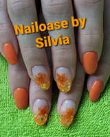 Nailoase by Silvia-Logo