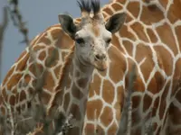 A + M Africa Tours GmbH