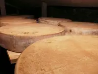 Servizi e lavori agricoli - Bassi Mirko