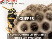 Partners Desinfection | Votre spécialiste en Nuisibles